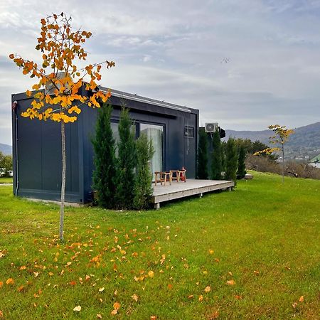 Flandra Glamping Corbeni Exterior foto