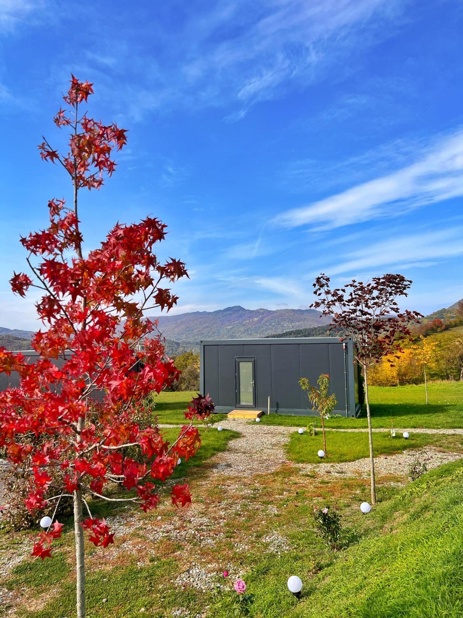 Flandra Glamping Corbeni Exterior foto
