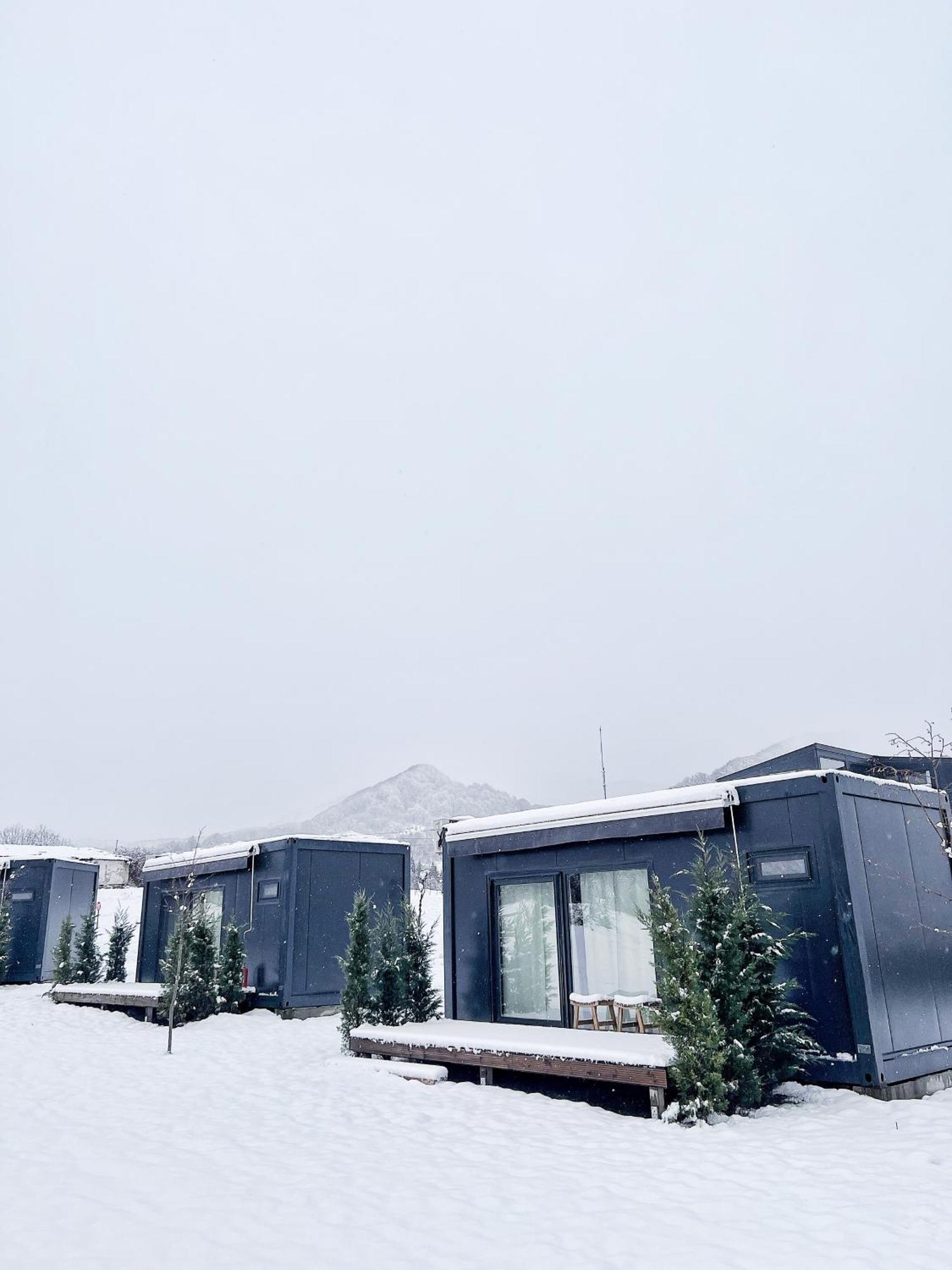 Flandra Glamping Corbeni Exterior foto